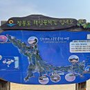 4월 16일(일) 10:00 인천 장봉도 산벚꽃 섬여행 이미지