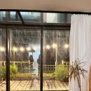 슬로우어스제주 이미지