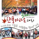 새암로 이미지