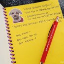 상록수공원 화장실 | [안산 본오동] 애견동반 디저트 맛집 브런치 카페, 머스트픽 상록수본점 방문 후기