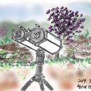 노남석 | 단 하루, 여러 밤 - 2019년 경남 메시에 마라톤 후기