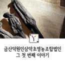 [강소식품기업 크리에이터] 금산덕원인삼약초영농조합법인 그 첫 번째 이야기