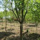 양일농장 이미지