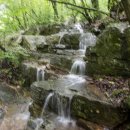 대청 계곡길 이미지