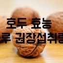 하루호두 이미지