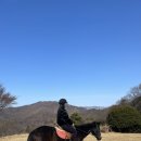 바모스 | 부산승마장 부산어린이승마 바모스승마클럽 후기 및 주차