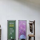 양산 가볼 만한 곳 갤러리와 카페를 한 번에! 양산 복합문화공간 스페이스나무 후기