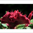 서호농장 이미지