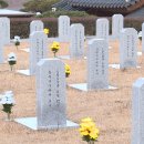 주식회사데크카본