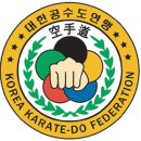 대한공수도