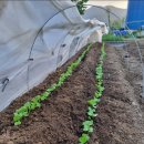 현곡농장 이미지