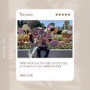 도쿄 디즈니랜드 8개월 아기와 다녀온 후기｜탈 수 있는 놀이기구·유아휴게실 총정리