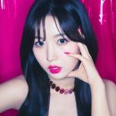 엔트워프 이미지