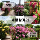세평삼거리 티스토리