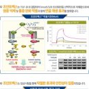 (주)벡스퍼트 이미지