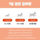 건강하개 먹개 | 강아지간식 건강하개 먹개 과일믹스 추천