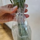 아크앤시엘 이미지