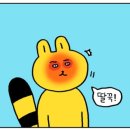 깻잎두마리치킨 이미지