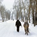 신도현천 이미지