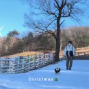 나 대관령왔어 이미지