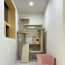 부산고양이미용&호텔 무냥무냥 대연점 이미지