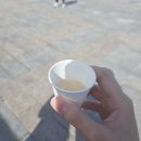 고양 2024 막걸리 축제 첫 날 다녀온 후기