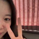 에이피인터네셔널 | 호주 시드니 7박 9일 자유여행기 🇦🇺🦘🐨