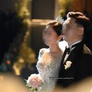 클래멘토 이미지