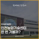 화천군 농업기술센터 | 다양한 행사가 열리는 인천농업기술센터