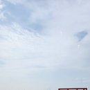 남산분식 - 중구 남산로13길 9 | 남산분식