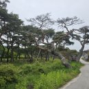 운봉읍 삼산마을 이미지