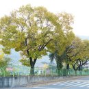 무척사랑영농조합법인 이미지