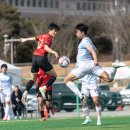 군민체육공원 인조1구장 이미지