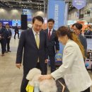 윤애견미용 이미지