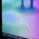 앤솔로지아 이미지