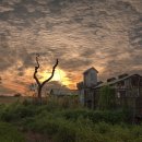 호야목장 이미지