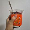 메가엠지씨커피영종넙디점 | 메가커피 신메뉴 요거젤라또 초코베리믹스 후기🍨