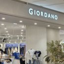 지오다노 GIORDANO💼 | 여름 출근룩 피팅 후기& 찐리뷰 착샷 / 하의 슬랙스, 데님 등