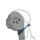 왕곡애견동반펜션 이미지