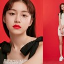 양이펀치 이미지