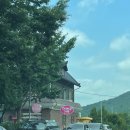 대바우가든 이미지