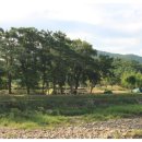 하천섬(주차장) 이미지