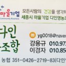 영농조합법인 친정맘 절임배추 이미지