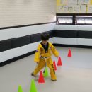 리라태권도 이미지