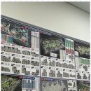 대방탑부동산공인중개사사무소 이미지