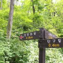 원주굽이길 4코스 꽃양귀비길 이미지