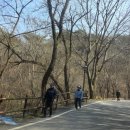 소담교차로 | [광주여행]광주 무등산 등산코스 추천,증심사지구 왕복 봄 산행 후기 &amp; 포토스팟