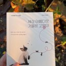 착한 고양이 이미지