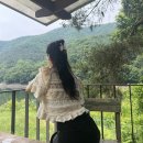 소일상 이미지