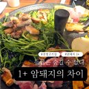 진영카서비스 | 진영고기집 일행 진영점 솥뚜껑암돼지 1+ 실속세트 미나리 조합 후기
